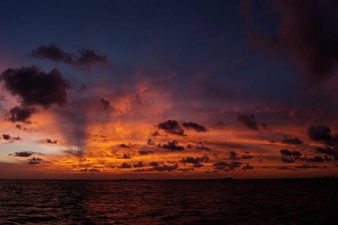 Sunset Sail in Miami: Complimentary Champagne Toast - Key moments to watch for