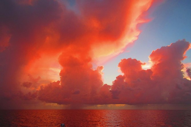 Sunset Sail in Miami: Complimentary Champagne Toast - Champagne toast, music, and the onboard bar rules