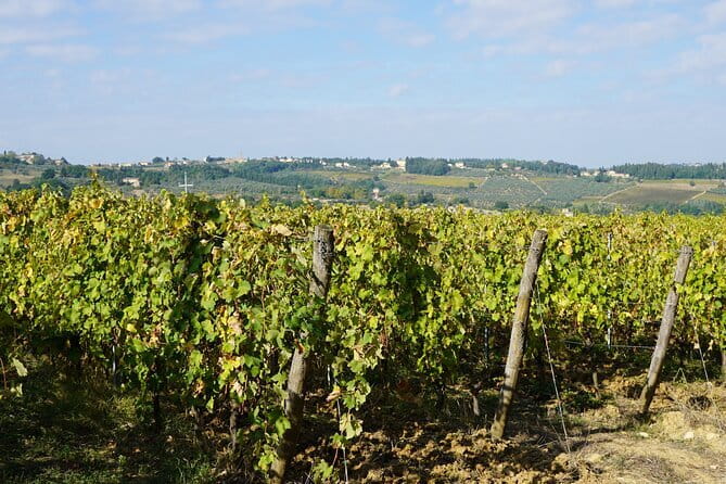 Super Chianti 2 wineries & meat feast @ Dario Cecchini—max 8 pp - Meeting at Grape Tours: How the Day Gets Going
