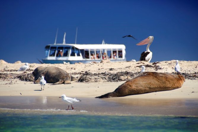 Swan Valley Wine Cruise - The Mandoon Estate Stop: Macarons Meet the Wine List