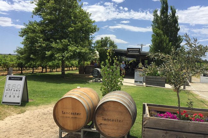 Swan Valley Wine Tour - Full Day - Multiple wineries, one comparison day: boutique character versus bigger names