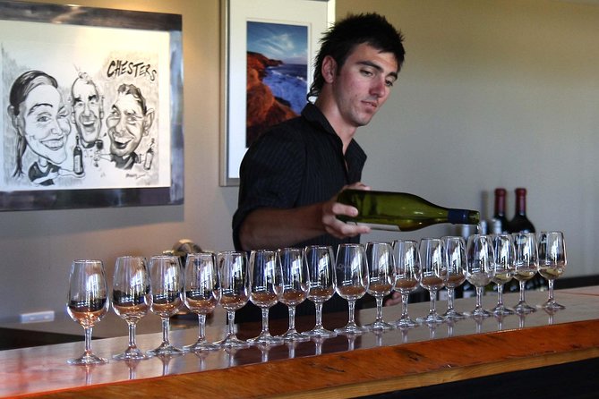 Swan Valley Winery Experience - Full Day Coach Tour - Sittella Wines lunch: gourmet platter + a glass of wine