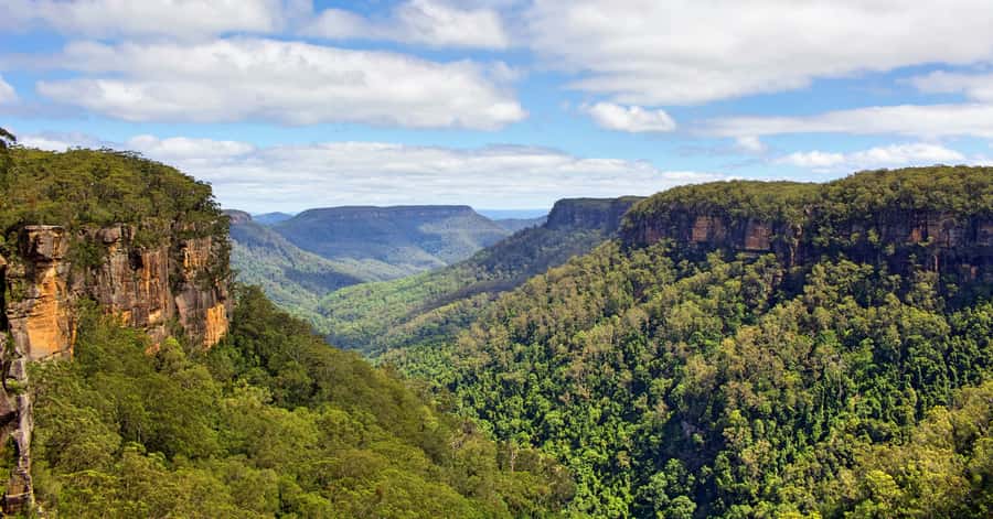 Sydney: Wildlife, Waterfalls and Wine Small Group Tour - Price and value: what $258 buys you (and what it doesn’t)