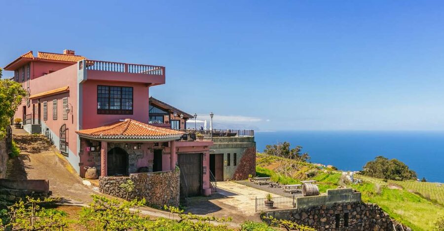 Tacoronte: Guided Winery Tour with Wine and Cheese Tastings - Key highlights