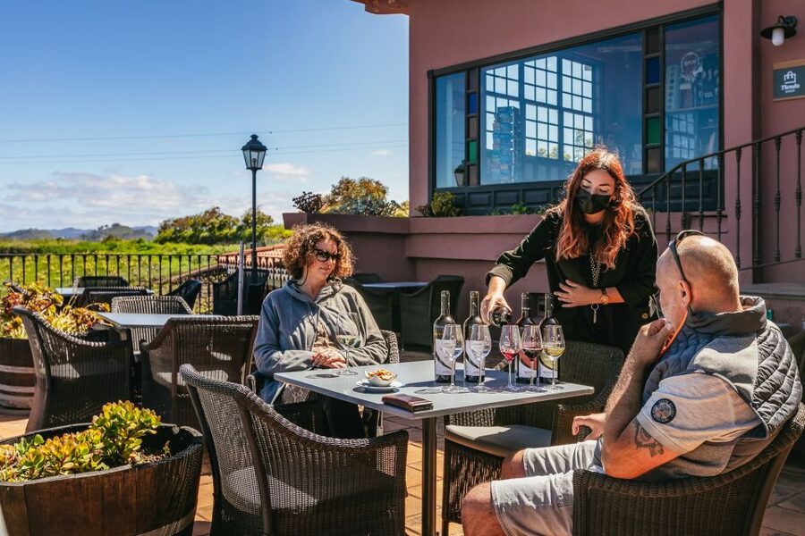 Tacoronte: Guided Winery Tour with Wine and Cheese Tastings - Should you book this Bodegas Monje wine tour?