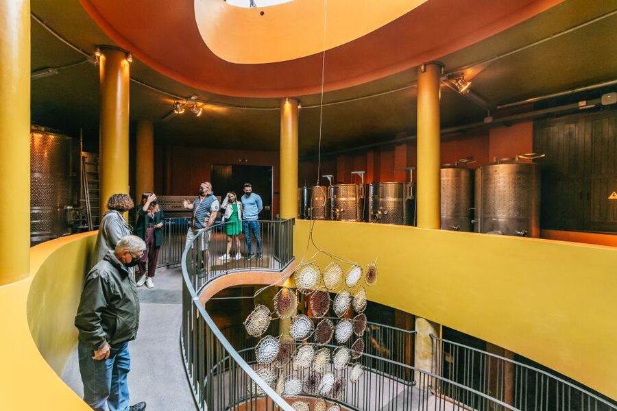 Tacoronte: Guided Winery Tour with Wine and Cheese Tastings - The star act: four Canary wines paired with four island goat cheeses