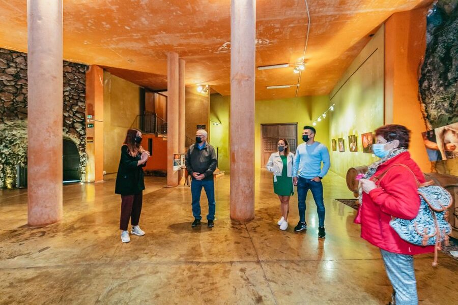 Tacoronte: Guided Winery Tour with Wine and Cheese Tastings - Guide pace and language: Spanish and English, with one key tip