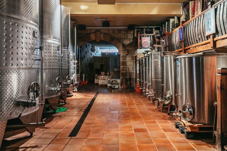 Tacoronte: Guided Winery Tour with Wine and Cheese Tastings - Who this Tenerife wine-and-cheese tour suits best