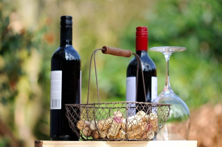 Taormina: Guided Etna Wine Tasting Half-Day Tour - Weather and Timing: When the View Is Great, and When It’s Still Worth It