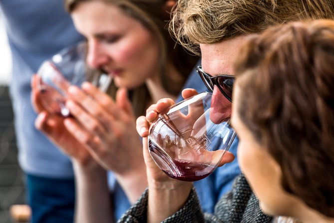 Tasmanian Premium Wine Tour with Tasmanian Cheese Platter - Four Winery Stops: What You’ll Do at Each Place