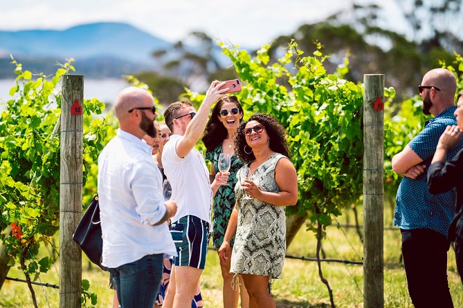 Tasmanian Premium Wine Tour with Tasmanian Cheese Platter - The Wine Lineup: Sparkling, Cool-Climate Whites, and Local Reds