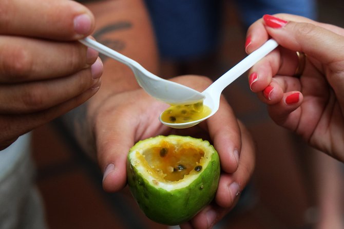 Taste Funchal: food, wine & cultural tour - Starting Point in São Martinho: Where Your Walk Begins