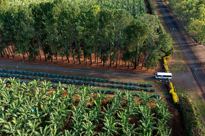 Taste the Atherton Tablelands Food & Wine Tour from Port Douglas - Tarzali Lakes / Platypus Park: lunch with real regional flavor