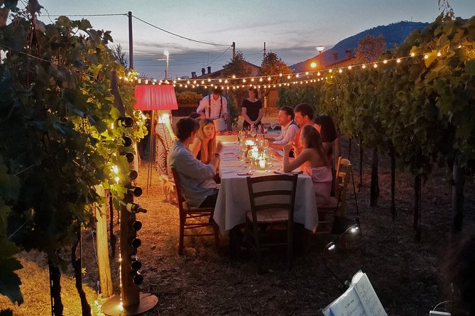 Tasting in a Tuscan Vineyard with transfer from Lucca - Tasting time with Tuscan cold bites: what’s on the table