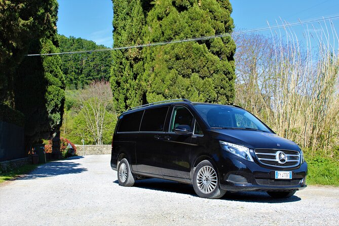 Tasting in a Tuscan Vineyard with transfer from Lucca - Price and value: is $107.63 fair for 3 hours?