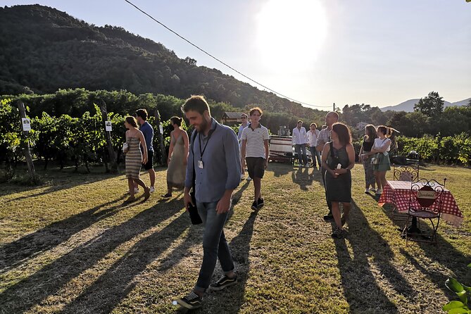 Tasting in a Tuscan Vineyard with transfer from Lucca - FAQ