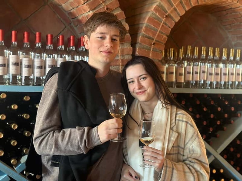 Tbilisi: Kakheti Wine Region Tour with 10 Wine Tastings - Key Points Worth Your Attention