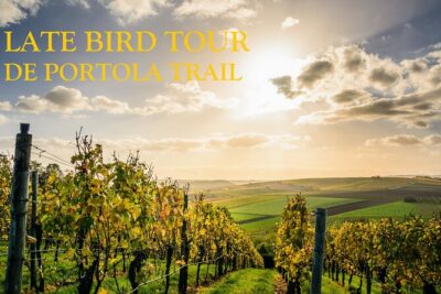 Temecula's Premier Wine Tasting Tour - How much wine you’re actually tasting (and why that surprises people)