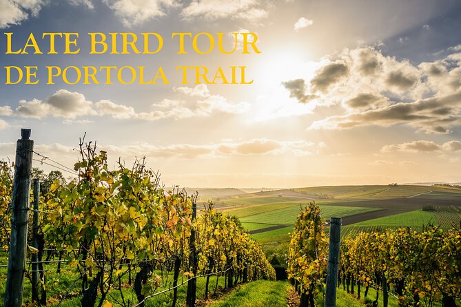 Temecula's Premier Wine Tasting Tour - How much wine you’re actually tasting (and why that surprises people)