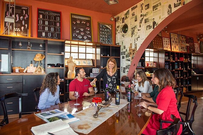 Tenerife Bodegas Monje Winery Tour with Wine and Cheese Tasting - The Setting: Patio, Terrace, and That Coastline View Factor