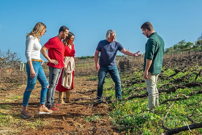 Tenerife Bodegas Monje Winery Tour with Wine and Cheese Tasting - English Guidance and Small-Group Atmosphere (Including Weekend Timing)