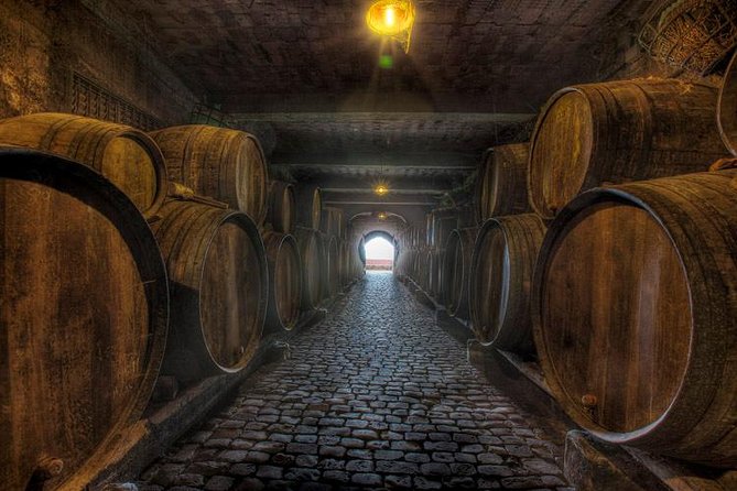 Tenerife Bodegas Monje Winery Tour with Wine and Cheese Tasting - Where It Starts in El Sauzal (and Why Your Timing Matters)