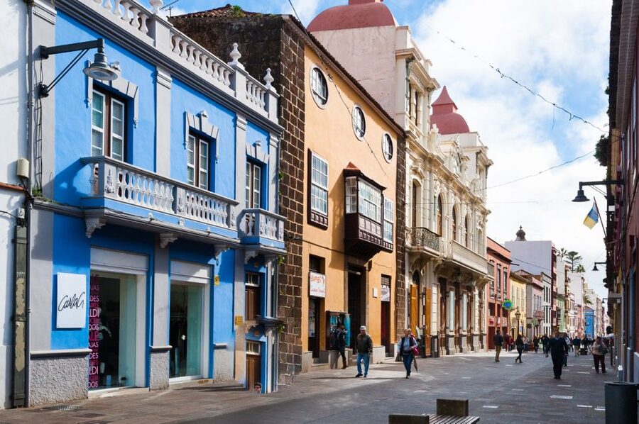 Tenerife: Full-Day Gastronomy and Wine Tour - A Food-Forward Day in Tenerife’s Wine Country