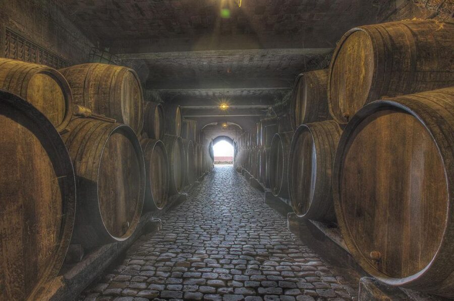 Tenerife: Full-Day Gastronomy and Wine Tour - Casa del Vino Tasting: Cheese Pairings and Canary Wine Basics