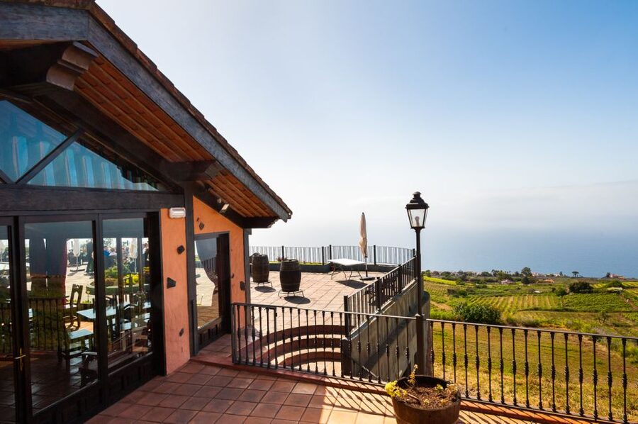Tenerife: Full-Day Gastronomy and Wine Tour - Wine Expectations: Enjoy the Variety, Ask Smart Questions