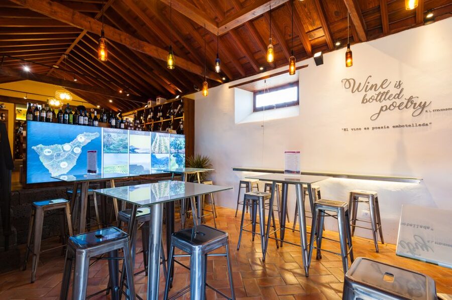 Tenerife: Full-Day Gastronomy and Wine Tour - Who This Tenerife Tour Fits Best (and Who Should Skip It)
