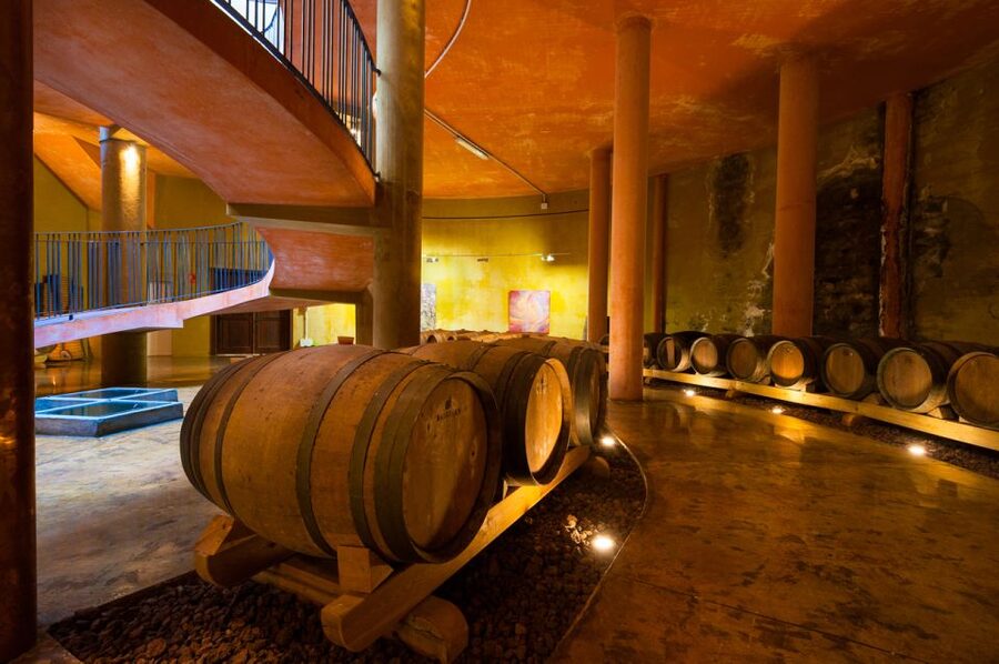 Tenerife: Full-Day Gastronomy and Wine Tour - Value at $97: What You’re Really Paying For