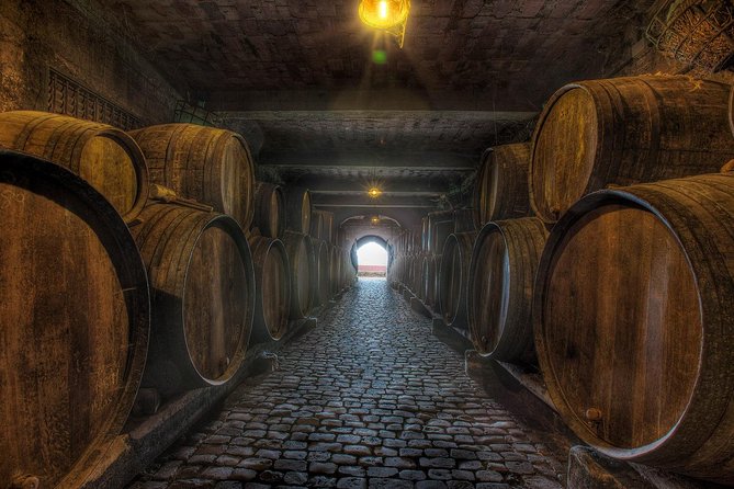 Tenerife Gastronomy Tour with Two Winery Visits and 4-Course Lunch - Transport comfort and logistics: what to plan for