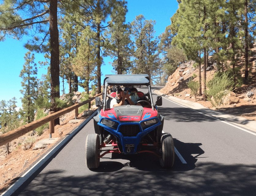 Tenerife: Volcano Teide Buggy Tour with Wine Tasting & Tapas - Who this tour suits best (and who should skip it)