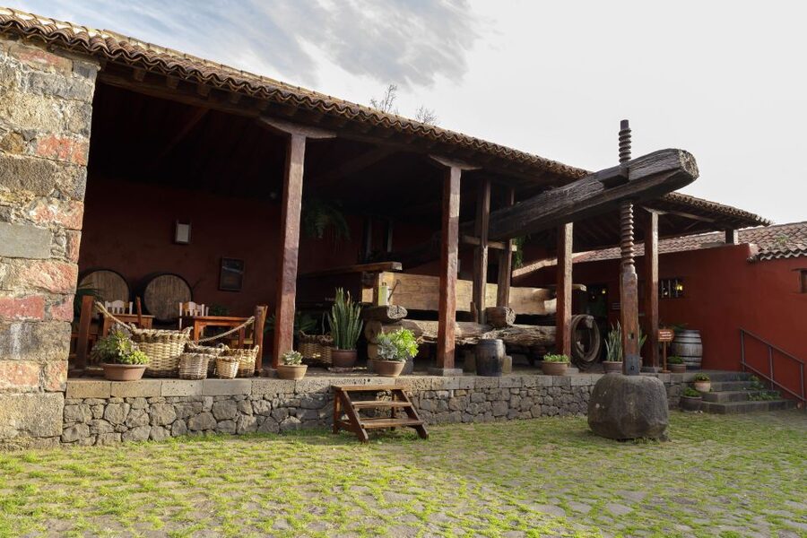 Tenerife: Wine Museum Ticket with Local Wines & Food Tasting - The tasting menus: white, rosé, red with cheese, toast, almogrote, and honey