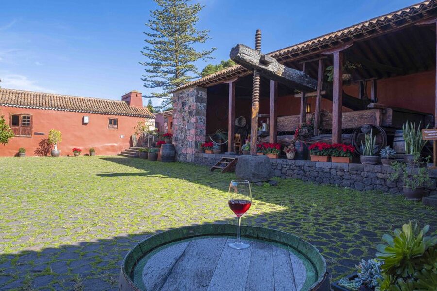 Tenerife: Wine Museum Ticket with Local Wines & Food Tasting - Best for who: wine beginners, couples, and people who want something local
