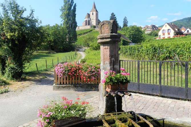 The Emblematic: visit of villages, Haut-Koenigsbourg, Wine tasting - Hunawihr’s fortified church and fountain stop (45 minutes, free entry)