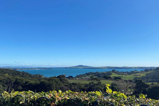 The Essence of Waiheke Wine Tour - Kennedy Point Vineyard and Te Motu: Expect Different Styles, Not Just Different Names