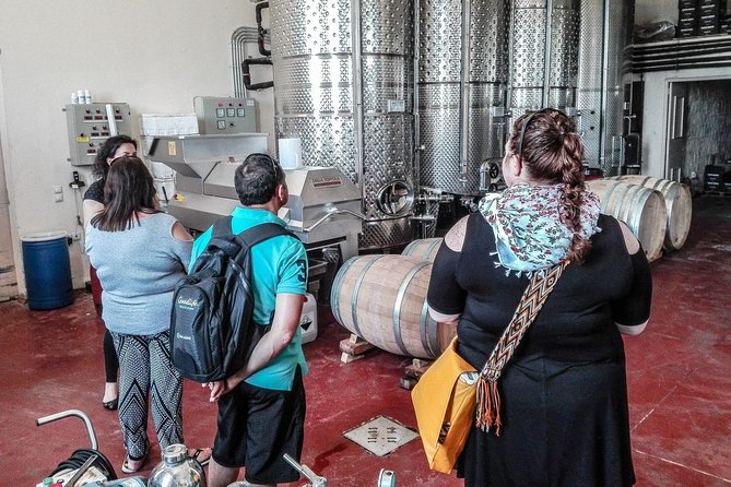 The Gourmet Wine Tour of Heraklion area - Winery Stilianou: Organic Wines, Views, and Six More Tastings