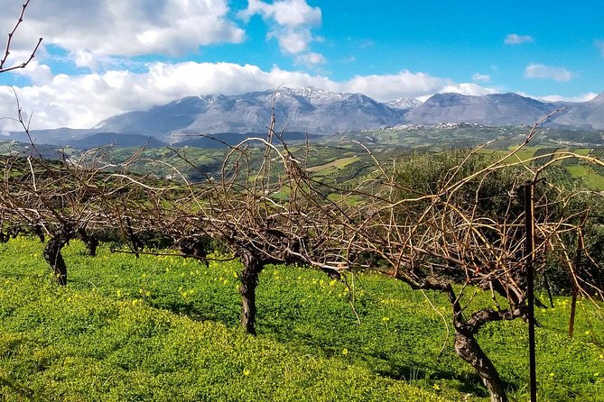 The Gourmet Wine Tour of Heraklion area - Bakaliko Crete: Olive Oil Flight Plus Archanes Mezze Lunch Pairings
