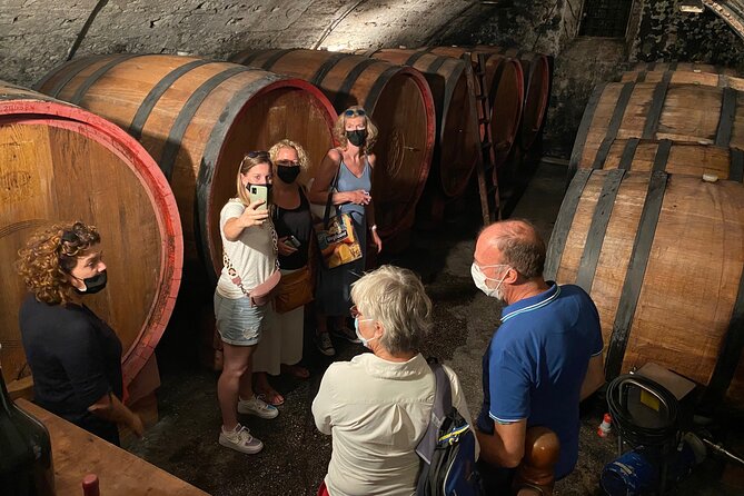The Grand tour of Valpolicella: 2 Wineries, Lunch & Amarone focus - Key things to know before you go