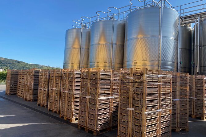The Grand tour of Valpolicella: 2 Wineries, Lunch & Amarone focus - Shipping Wine Home: The Bonus That Can Save Your Luggage
