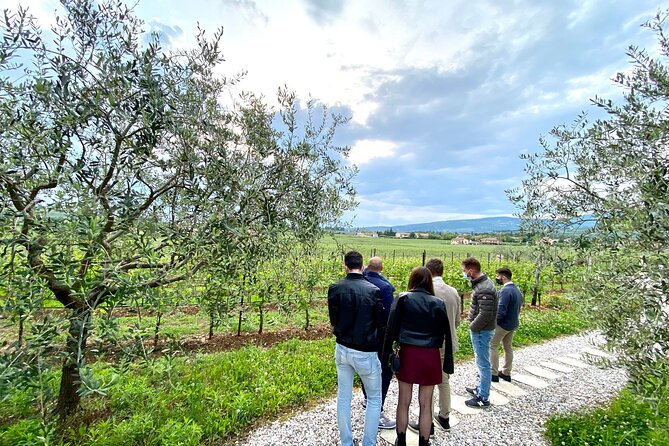 The Grand tour of Valpolicella: 2 Wineries, Lunch & Amarone focus - Price and Value for About 5 Hours in Valpolicella