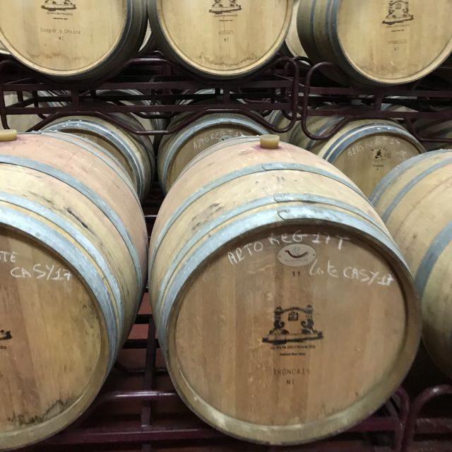 The Real Algarve: 2 Boutique Wineries & Silves Tour - Key things to know before you go
