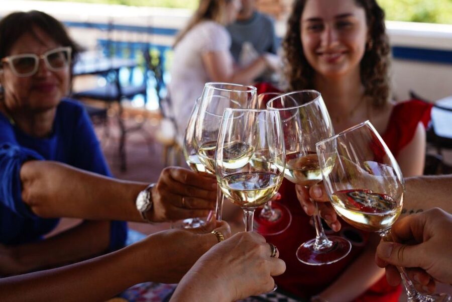 The Real Algarve: 2 Boutique Wineries & Silves Tour - Quinta do Francês: second winery, different personality
