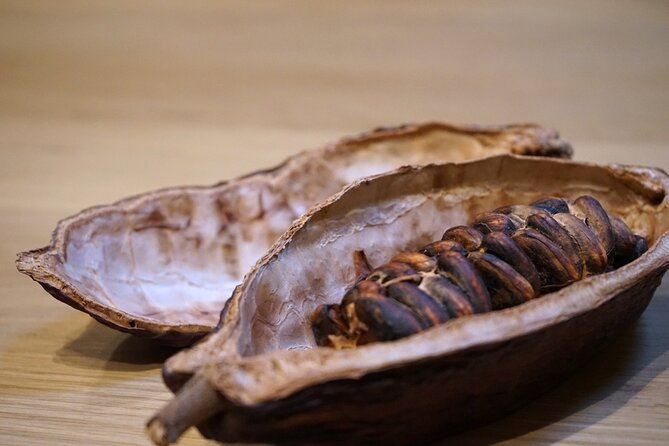The Turin Chocolate & Wine Tasting Experience - Should you book the Turin Chocolate and Wine Tasting Experience?