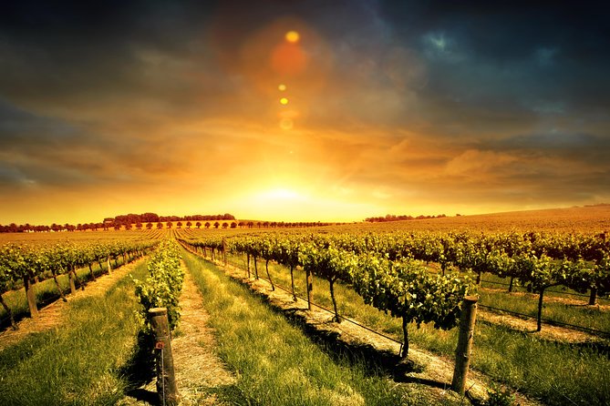 Three Courses Lunch and Wine Tour Through Niagara's Wine Country - Key Highlights You’ll Feel Immediately