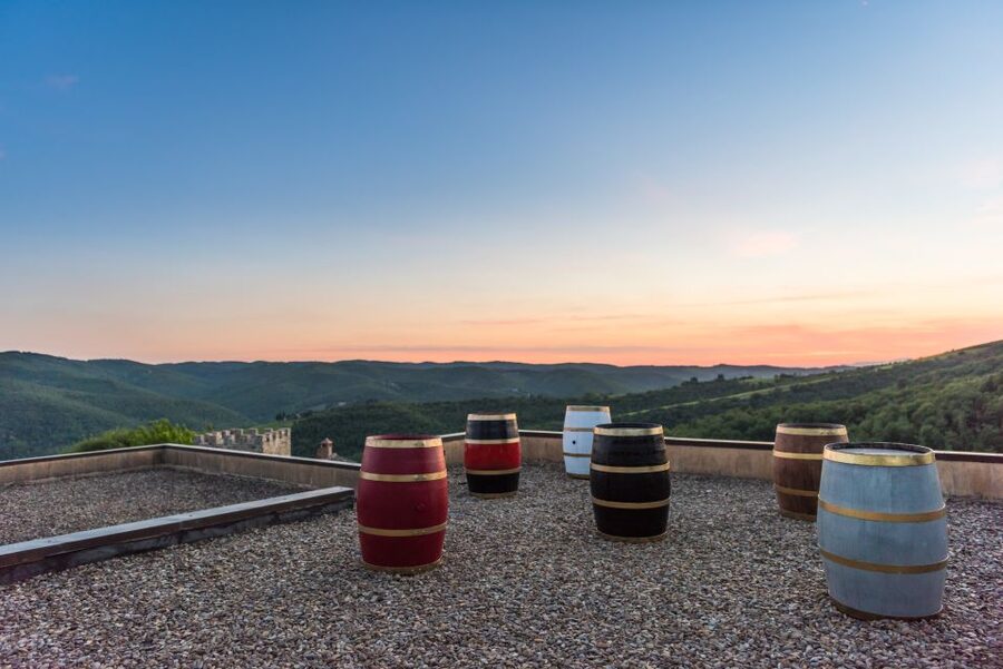 Total Immersion Wine Tour in Chianti - Should you book this Total Immersion Wine Tour?