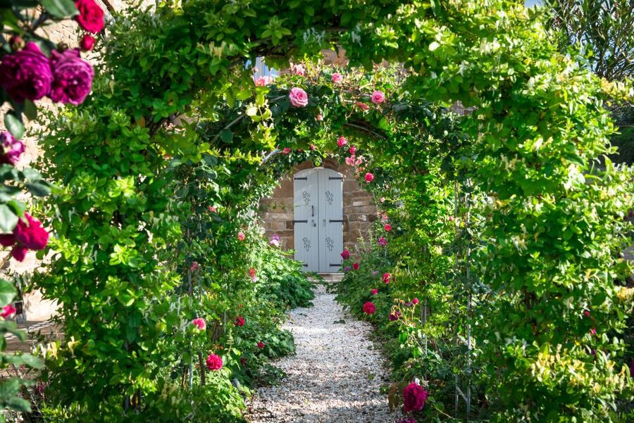 Total Immersion Wine Tour in Chianti - Roof-of-the-cellar views and the Black Rooster backstory