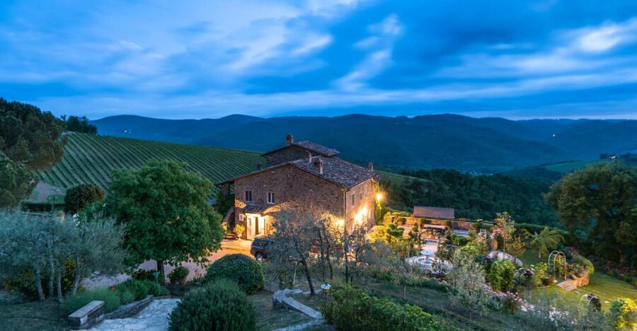 Total Immersion Wine Tour in Chianti - Inside the cellar: harvest, grape selection, fermentation, aging