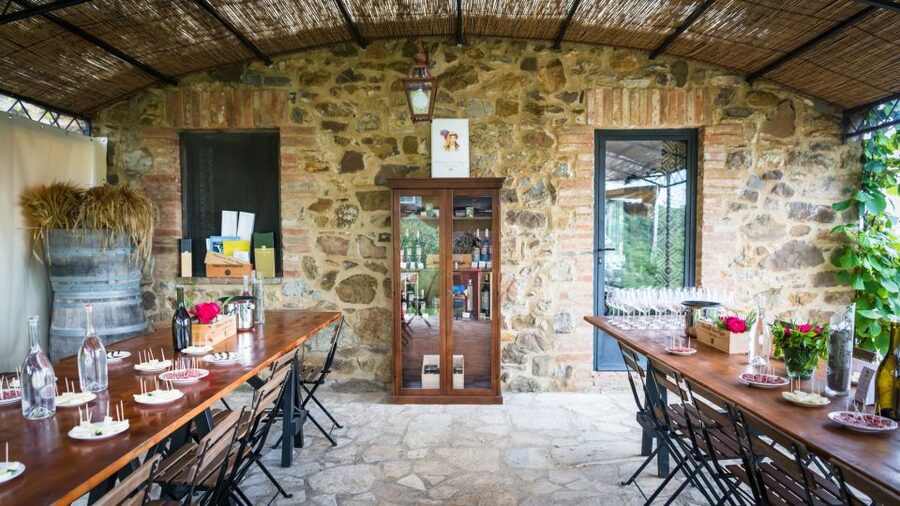 Total Immersion Wine Tour in Chianti - Your mini tasting course: smell, taste, serve like a pro